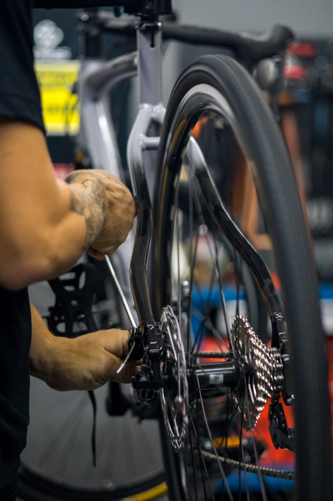 Shimano Service Center